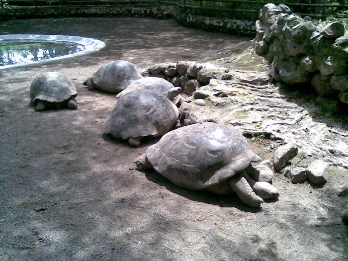Zoo 2